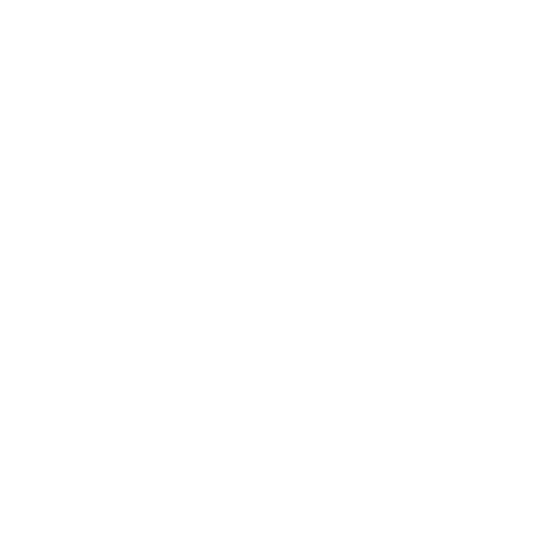1. logo bianco: trasparente Logo PMT